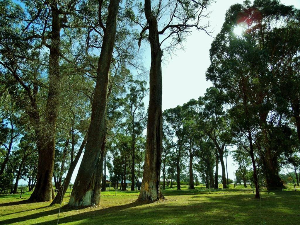 Inn The Tuarts Guest Lodge Busselton Accommodation - Adults Only Eksteriør bilde