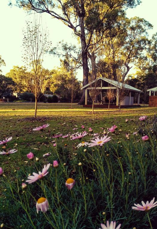 Inn The Tuarts Guest Lodge Busselton Accommodation - Adults Only Eksteriør bilde