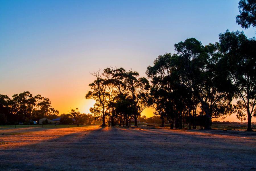 Inn The Tuarts Guest Lodge Busselton Accommodation - Adults Only Eksteriør bilde
