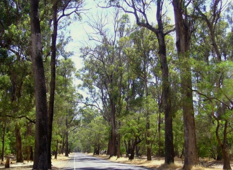 Inn The Tuarts Guest Lodge Busselton Accommodation - Adults Only Eksteriør bilde